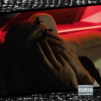 No Puedo (feat. KLO) - Single