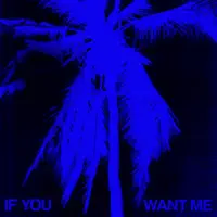 If You Want Me — Loods & SG Lewis