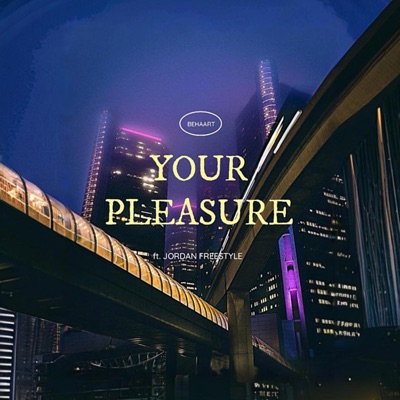 your pleasure (feat. Jordan freestyle) - Single