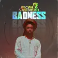 Badness