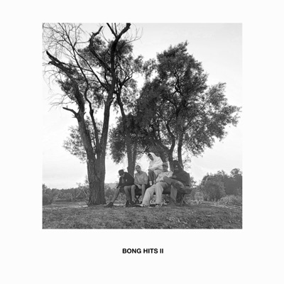 Bong Hits II