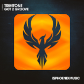 Got 2 Groove (Extended Mix)