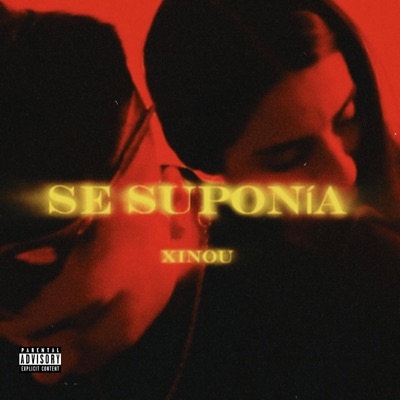 Se suponía - Single