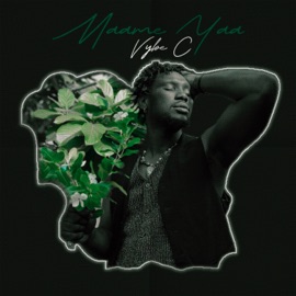 Maame Yaa Vybe C