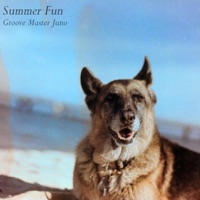 Summer Fun - Single - Groove Master Juno