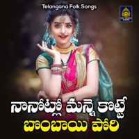 Naanotlo Manne Kotte Bombai Pori (Telangana Folk Songs) - Single - Akunuri Devayya & Gujje Srinu