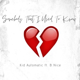 Somebody That I Used To Know (feat. BNice) Kid Automatic