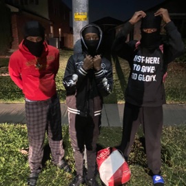 Twin Switches rrdawick