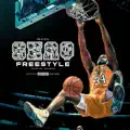 Shaq Freestyle