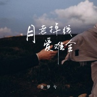 月老掉线爱难全 - Single - 李梦兮