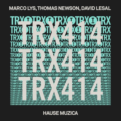 Hause Muzica (Extended Mix) artwork