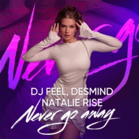 Never Go Away - Single - DJ Feel, DESMIND & Natalie Rise