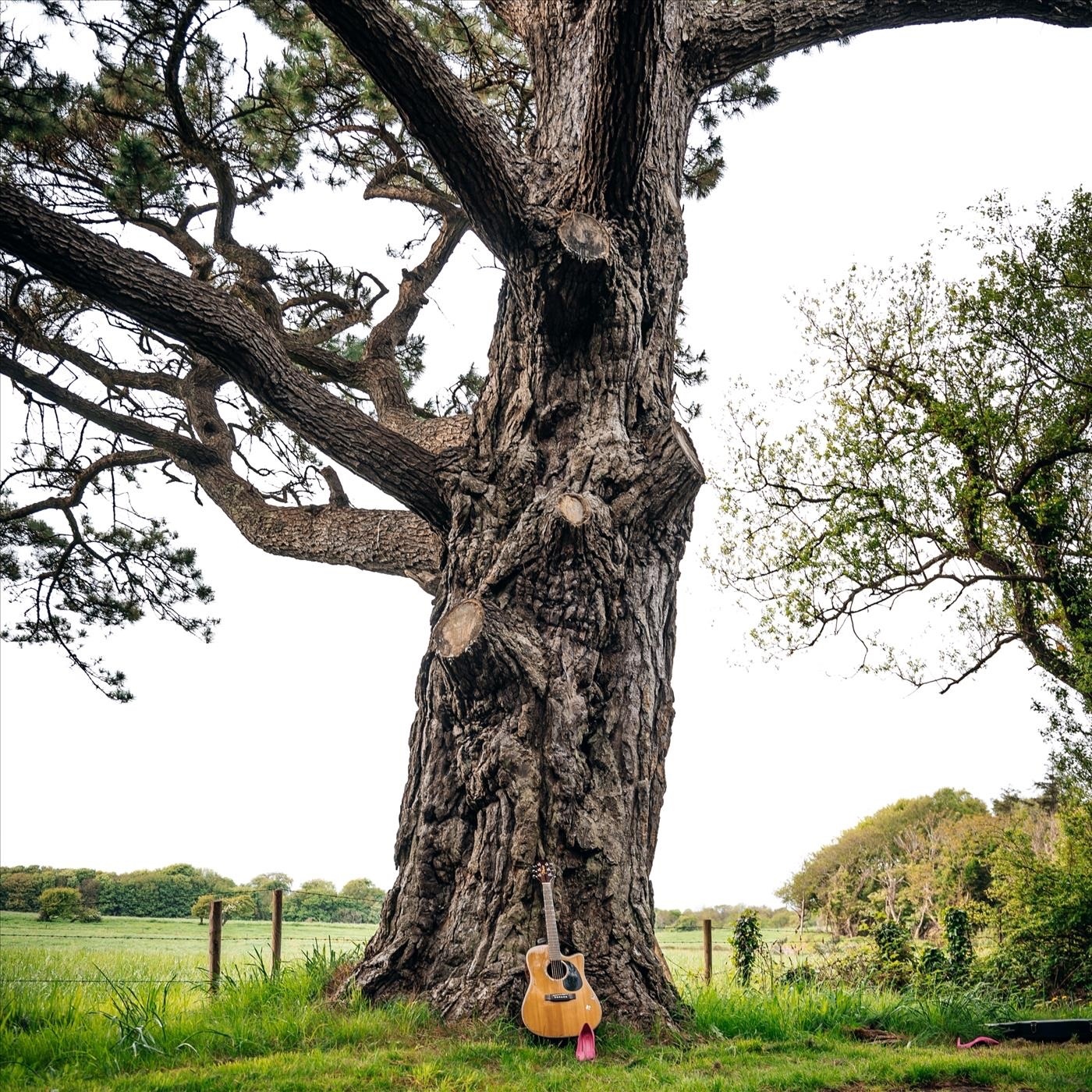 Cry Me a River - Single