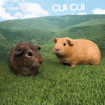 Cui Cui