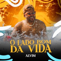 O Lado Bom da Vida - Single - Alvim