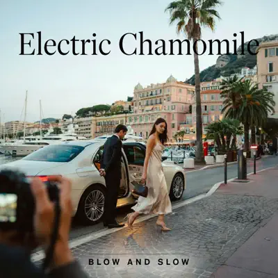 Listen to Electric Chamomile by Blow And Slow