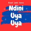 Ndini Uya Uya - Single