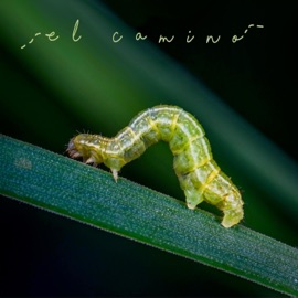 El Camino Simon Jano Sessions