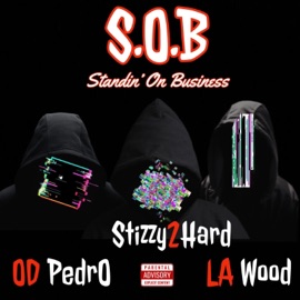 S.O.B (feat. OD Pedro & LA Wood) Playboy Mack