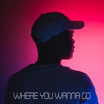 Where You Wanna Go (feat. Olivia Escuyos) - Single