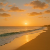 Summer's Gone - Single - David Sharp