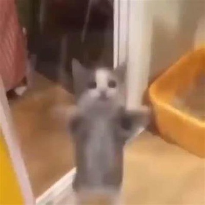 GUCCI BURGER UPTEMPO HARDSTYLE - EP