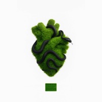 Snakes In The Grass - Single - Circlesmall Juli
