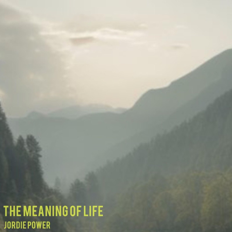 The Meaning of Life - Single