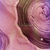 Ice Cream - Single - Triptone