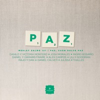 Paz Medley Salmo 121 | Paz, Cuán Dulce Paz (feat. Victoria Montero, Ingrid Rosario, Daniel Fraire, Dámaris Fraire, Alex Campos, Majo y Dan, Daniel Calveti & Julissa) - Single - Danilo Montero, Lilly Goodman & Thalles Roberto