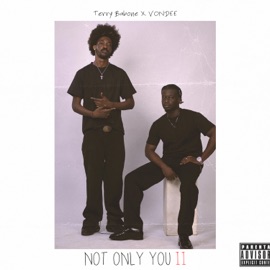 NOT ONLY YOU II Terry Babone. & VONDEE