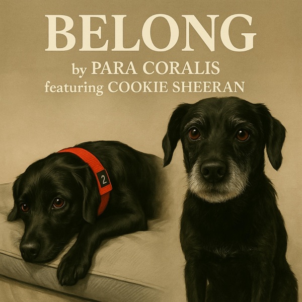 BELONG (feat. Cookie Sheeran)