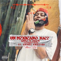 Un Mexicano Nace (feat. Maxo IR & Animal Ambition) - Single - Little el Crack & Royal T Beats
