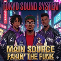 Album cover for Fakin' the Funk (TSS Mix) by Tokyo Sound System