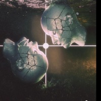 Visible Point - Single - Solstice