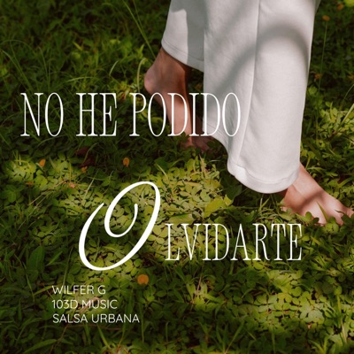 No he Podido Olvidarte (feat. Wilfer Gutierrez) - Single