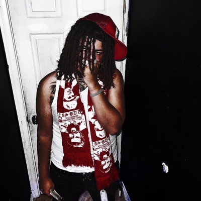 how i live/pt2 (feat. Stebo) - Single