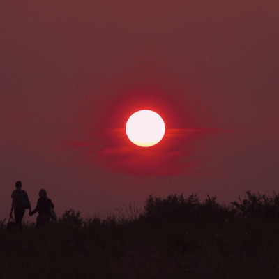 Big Bear (feat. Carter Cook) - Single