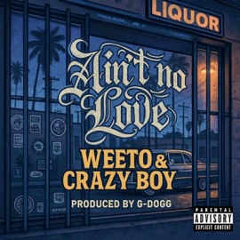 Aint No Love (feat. Crazy Boy. & G-Dogg Beatmaker) Weeto