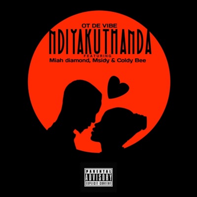 Ndiyakuthanda (feat. Miah Diamond, MsidyZA & Coldy Bee) - Single