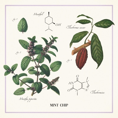 Mint Chip - Single