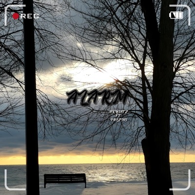 ALARM (feat. IPLZM3) - Single