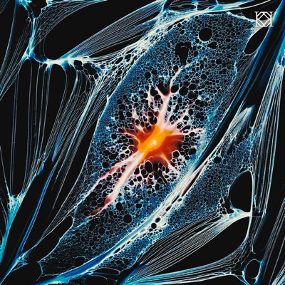 Sapiosensual - Single