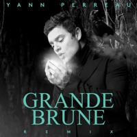 Grande brune (Remix) - Single - Yann Perreau