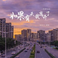 如果有天我离开了(你的生活) - Single - 林施 & 徐木子
