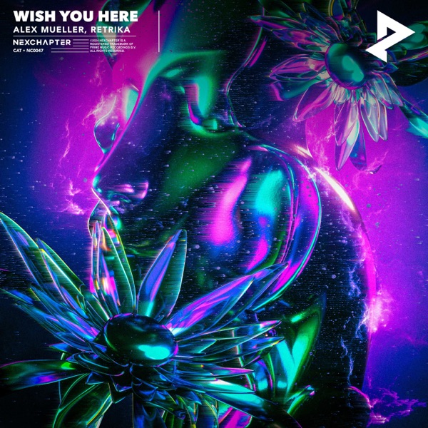 Wish You Here - Single