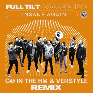 Insane Again (C@ in the H@ & Verstyle Remix)