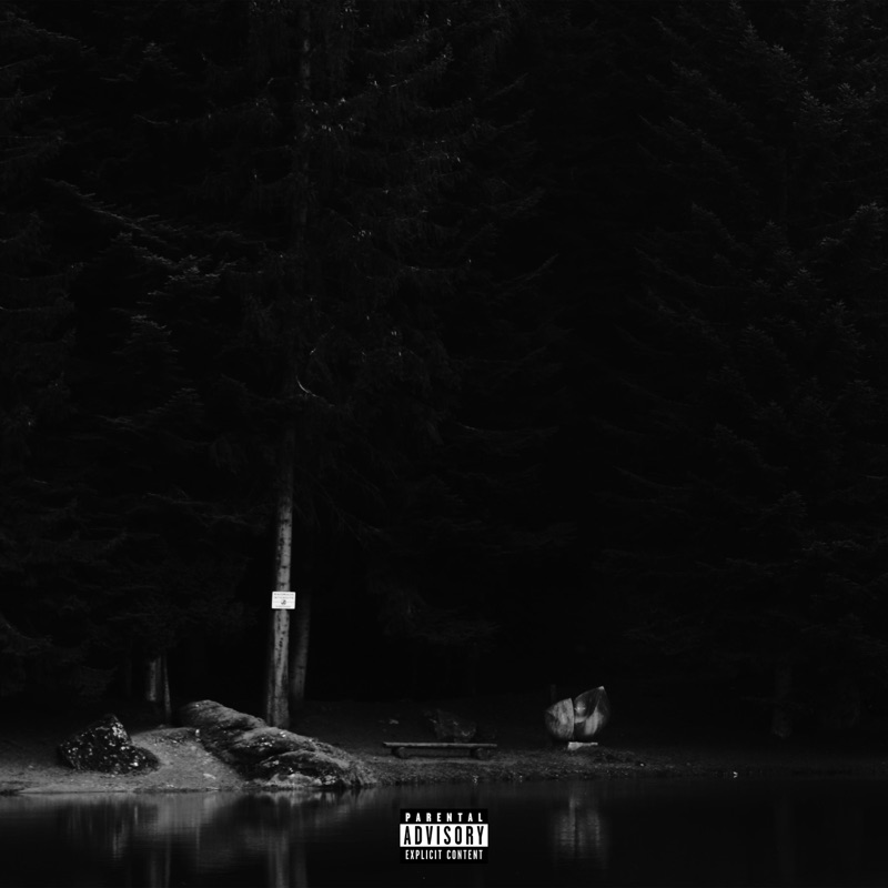 Vanoise (feat. Vico & Davi Flea) - Single