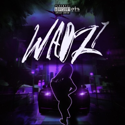 Wadz Files 1