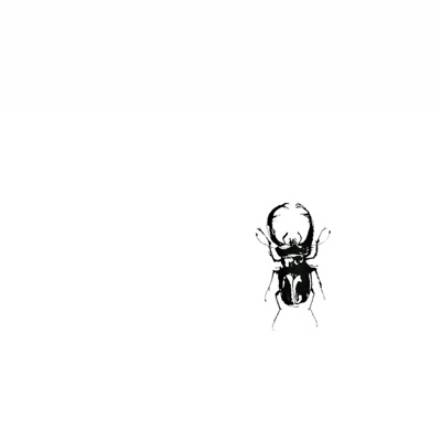 Song - Blackest Beetle - rocco